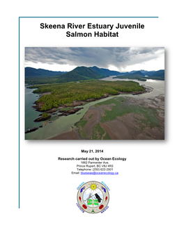 Skeena River Estuary Juvenile Salmon Habitat