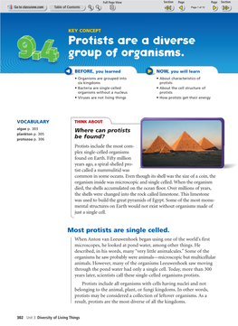 Protists Are a Diverse Group of Organisms