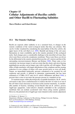 Cellular Adjustments of Bacillus Subtilis and Other Bacilli to Fluctuating Salinities