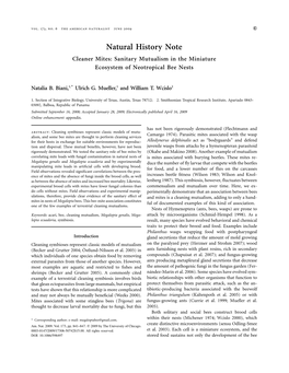 Natural History Note Cleaner Mites: Sanitary Mutualism in the Miniature Ecosystem of Neotropical Bee Nests