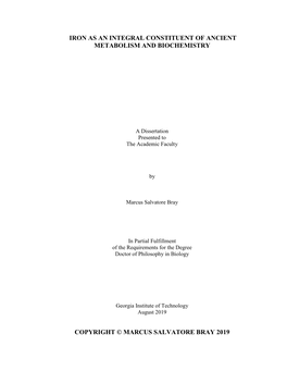 Iron As an Integral Constituent of Ancient Metabolism and Biochemistry