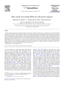 How Much Non-Coding DNA?