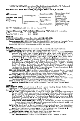 HORSE in TRAINING, Consigned by Bedford House Stables (C. Fellowes) the Property of a Partnership Will Stand at Park Paddocks, Highflyer Paddock K, Box 270