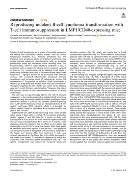 Reproducing Indolent B-Cell Lymphoma Transformation with T-Cell Immunosuppression in LMP1/CD40-Expressing Mice