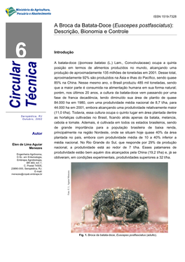 A Broca Da Batata-Doce (Euscepes Postfasciatus): Descrição, Bionomia E Controle