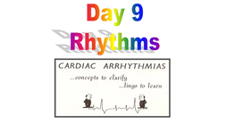 Day 9: Rhythms: Cardiac Arrhythmias
