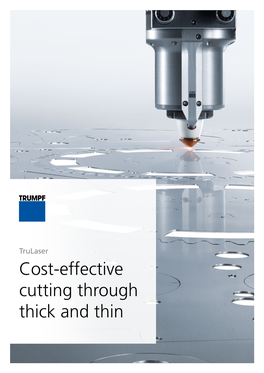 Cost-Effective Cutting Through Thick and Thin 2 Application Trulaser