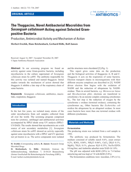 The Thuggacins, Novel Antibacterial Macrolides from Sorangium