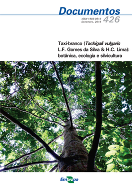 Taxi-Branco (Tachigali Vulgaris L.F. Gomes Da Silva & H.C. Lima