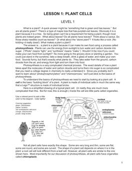 Lesson 1: Plant Cells