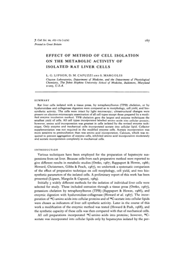 Effect of Method of Cell Isolation on the Metabolic Activity of Isolated Rat Liver Cells