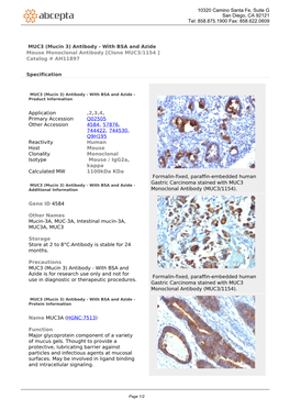 MUC3 (Mucin 3) Antibody - with BSA and Azide Mouse Monoclonal Antibody [Clone MUC3/1154 ] Catalog # AH11897