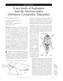 A New Family of Froghoppers from the American Tropics (Hemiptera: Cercopoidea: Epipygidae)