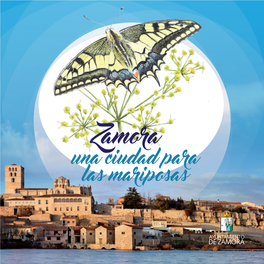 Zamora: Una Ciudad Para Las Mariposas