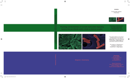 Physiology and Biochemistry of Aromatic Hydrocarbon-Degrading Bacteria That Use Chlorate And/Or Nitrate As Electron Acceptor