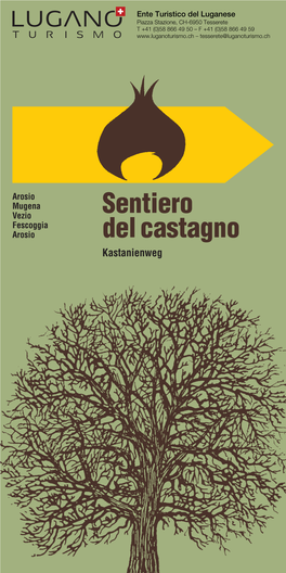 Sentiero Del Castagno