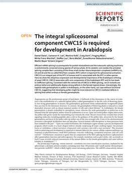 The Integral Spliceosomal Component CWC15 Is Required for Development in Arabidopsis Daniel Slane1, Cameron H