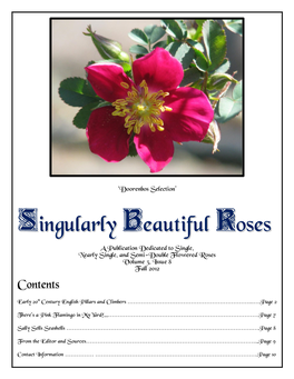 Singularly Beautiful Roses