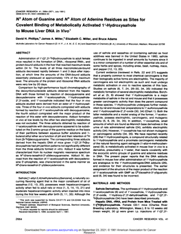 N2 Atom of Guanine and N6 Atom of Adenine Residues As Sites for Covalent Binding of Metabolically Activated 1'-Hydroxysafrole to Mouse Liver DMA in V/Vo1