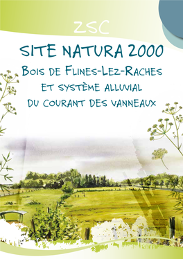 SITE NATURA 2000 Bois De Flines-Lez-Raches Et Système Alluvial Du Courant Des Vanneaux LEGENDE