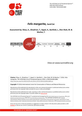 Felis Margarita, Sand Cat