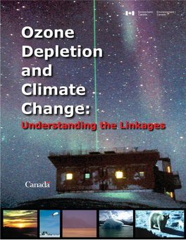 Ozone Depletion and Climate Change