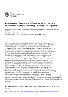 Morphology, Chronology, and Phylogeny