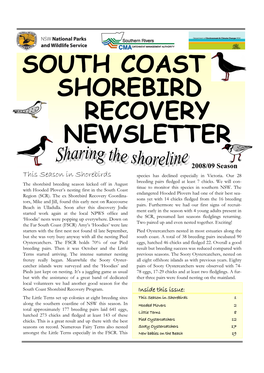 South Coast Shorebird Recovery Newsletter