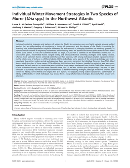 Individual Winter Movement Strategies in Two Species of Murre (Uria Spp.) in the Northwest Atlantic