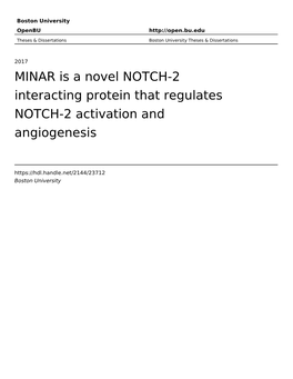 MINAR Is a Novel NOTCH-2 Interacting Protein That Regulates NOTCH-2 Activation and Angiogenesis