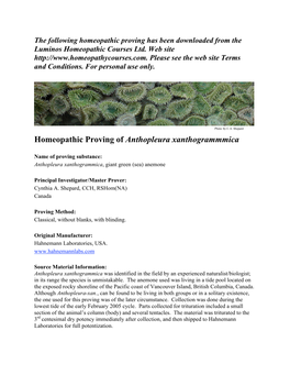 Homeopathic Proving of Anthopleura Xanthogrammmica