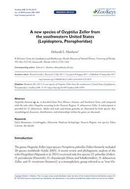 A New Species of Oxyptilus Zeller from the Southwestern United States (Lepidoptera, Pterophoridae)