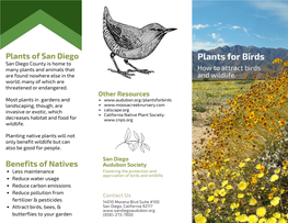 Plants for Birds San Diego County Is Home to Many Plants and Animals That How to Attract Birds Are Found Nowhere Else in the and Wildlife