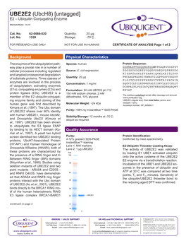 UBE2E2 (Ubch8) [Untagged] E2 – Ubiquitin Conjugating Enzyme