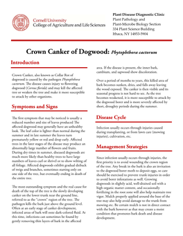 Crown Canker of Dogwood: Phytophthora Cactorum Introduction Area