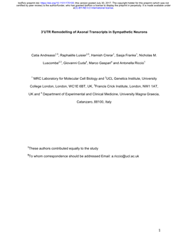 3'UTR Remodelling of Axonal Transcripts in Sympathetic Neurons