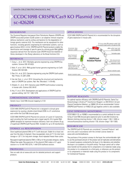 CCDC109B CRISPR/Cas9 KO Plasmid (M): Sc-426204