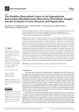 The Histidine Biosynthetic Genes in the Superphylum Bacteroidota-Rhodothermota-Balneolota-Chlorobiota: Insights Into the Evolution of Gene Structure and Organization