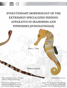 Evolutionary Morphology of the Extremely Specialized Feeding Apparatus in Seahorses and Pipefishes (Syngnathidae) ( Syngnathidae
