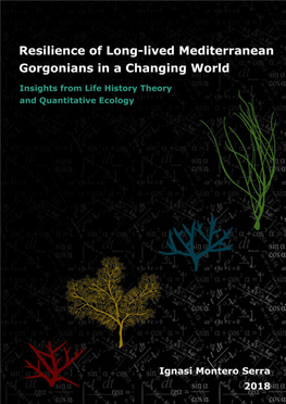 Strong Linkages Between Depth, Longevity and Demographic Stability Across Marine Sessile Species