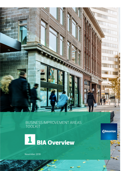 1 BIA Overview