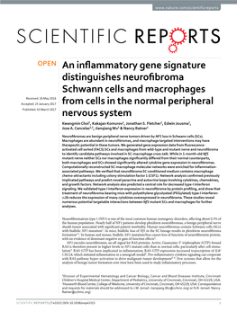 An Inflammatory Gene Signature Distinguishes Neurofibroma