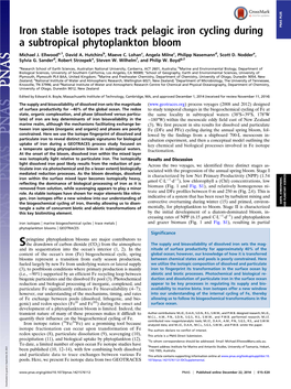 Iron Stable Isotopes Track Pelagic Iron Cycling During a Subtropical Phytoplankton Bloom