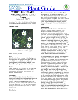 WHITE BRODIAEA for Current Distribution, Please Consult the Plant Profile Page for This Species on the PLANTS Web Triteleia Hyacinthina (Lindl.) Site