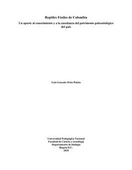 Reptiles Fósiles De Colombia Un Aporte Al Conocimiento Y a La Enseñanza Del Patrimonio Paleontológico Del País