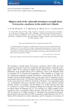 Highest Catch of the Vulnerable Broadnose Sevengill Shark Notorynchus Cepedianus in the South-West Atlantic