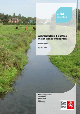 Ashford Stage 1 SWMP Final Report (V1.0 October 2013) I