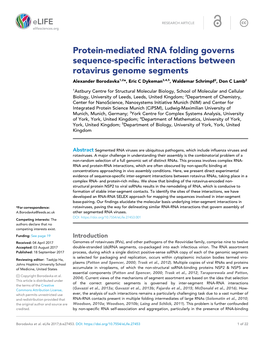 Protein-Mediated RNA Folding Governs Sequence-Specific Interactions Between Rotavirus Genome Segments