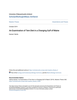 An Examination of Tern Diet in a Changing Gulf of Maine