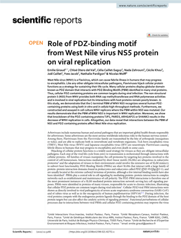 Role of PDZ-Binding Motif from West Nile Virus NS5 Protein on Viral